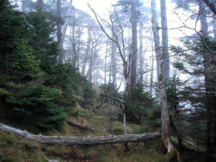 �������x������